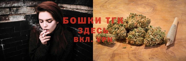 трава Арсеньев
