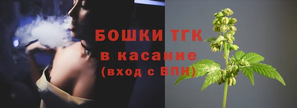 трава Арсеньев