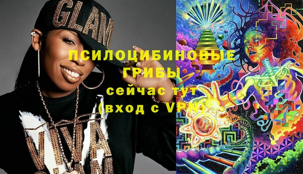 трава Арсеньев