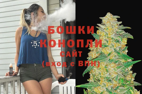 трава Арсеньев