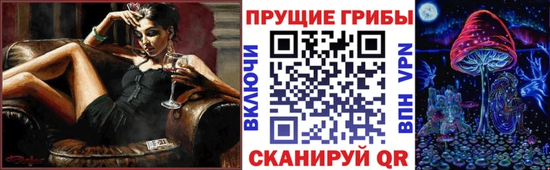 купить наркотики сайты blacksprut ССЫЛКА Псилоцибиновые грибы прущие грибы Брянск