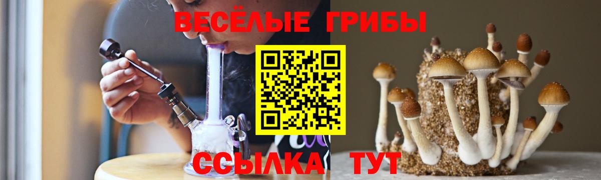 Галлюциногенные грибы Cubensis Брянск