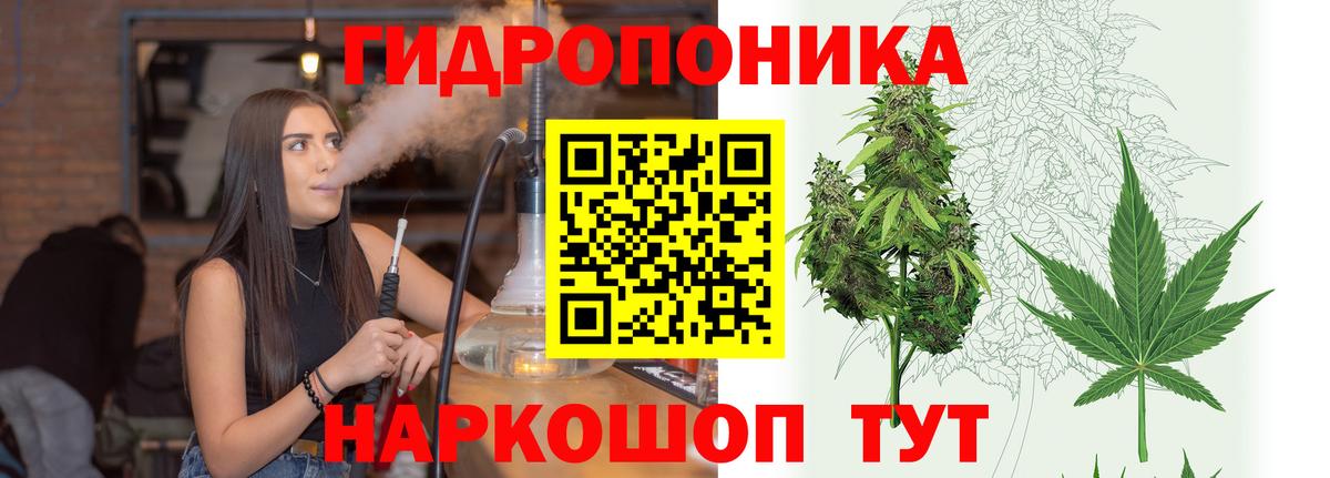 Бошки марихуана OG Kush Брянск